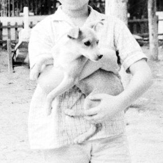 Boy holding small dog outdoors in park.
