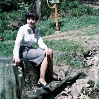 Woman sitting on rock by forest trail.