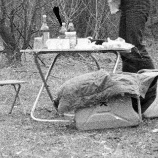 Four people camping in forest, preparing food.