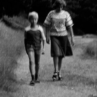 Three people and a dog walking on a forest path.