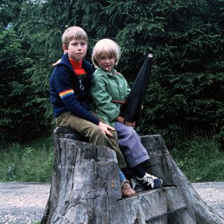 Two children sitting on a tree stump outdoors.