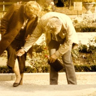 Two people tending pond plants in garden.