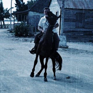 Man riding horse on coastal road near rustic buildings.