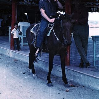 Man riding horse in outdoor area with thatched roof.