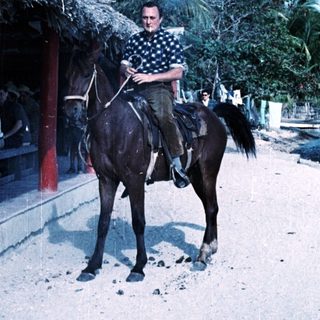 Man riding horse on tropical beach road.