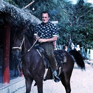 Man riding horse on tropical beach road.