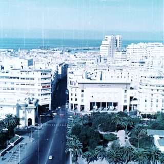 Urban coastal cityscape with wide avenue, palm trees, and ocean view.