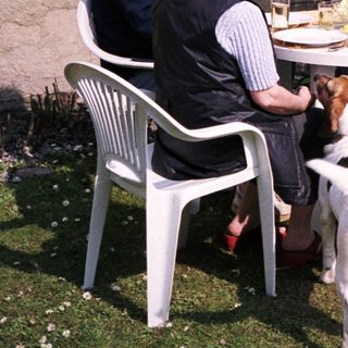 Four people and a dog enjoying outdoor meal together.