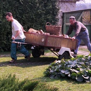 Two men harvesting and transporting vegetables.