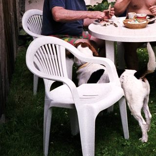 Two men eating outdoors with a dog nearby.