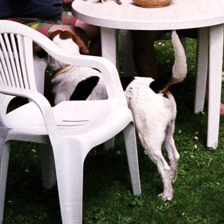 Two men eating outdoors with a dog nearby.