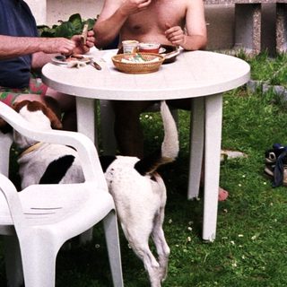 Two men eating outdoors with a dog nearby.
