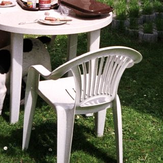 Two men, dog, and outdoor table with food.