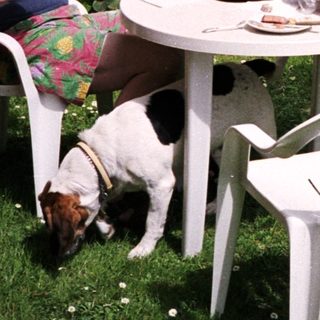 Two men, dog, and outdoor table with food.