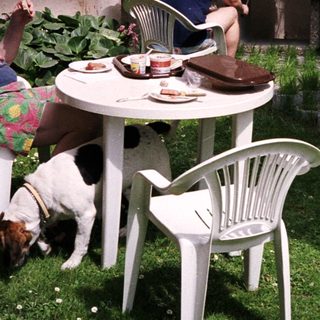 Two men, dog, and outdoor table with food.