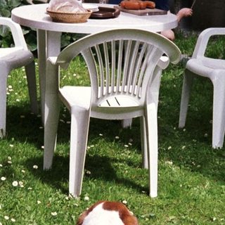 Relaxed dog lying on blanket near outdoor dining area.