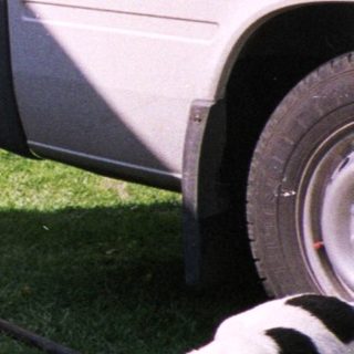 Man washing camper exterior with hose, dog nearby.