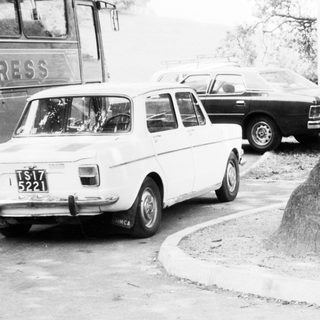 Two people posing beside a large tree. Classic cars parked nearby.