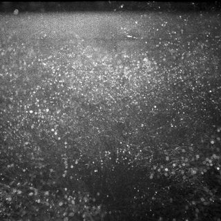 Dark sky with scattered bright stars.