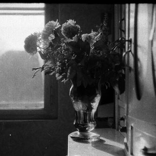 Vase with flowers by a window.
