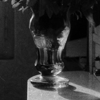 Vase with flowers by a window.