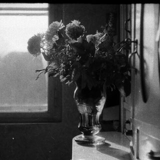 Vase with flowers by a window.