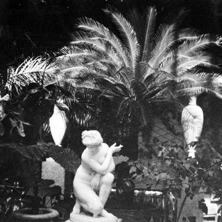 Classic sculptures and palm plants indoors.