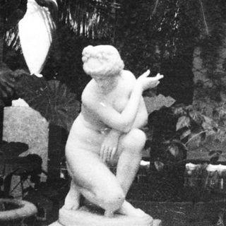 Classic sculptures and palm plants indoors.