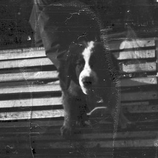 Blurry reflection of a person on foggy glass.