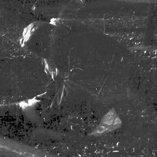 Aerial view of wet, curved roadway.