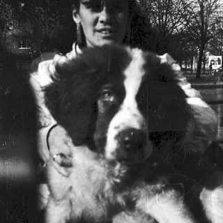 Person holding large black-and-white dog outdoors.