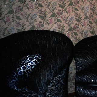 Man sitting on velvet armchair indoors near landscape mural.