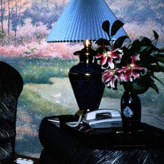 Man sitting on velvet armchair indoors near landscape mural.