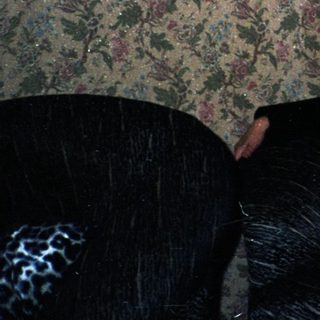 Woman sitting in dimly lit room with sunset mural.