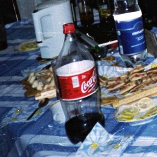 Group gathering at a casual indoor meal.
