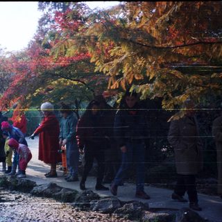 People walking through autumn foliage park.