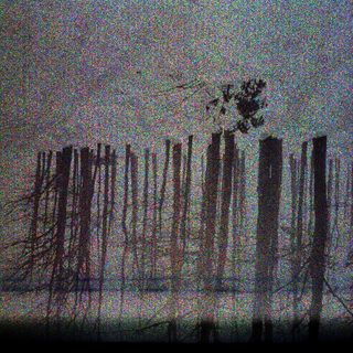 Dark, snowy forest scene with indistinct trees and foliage.