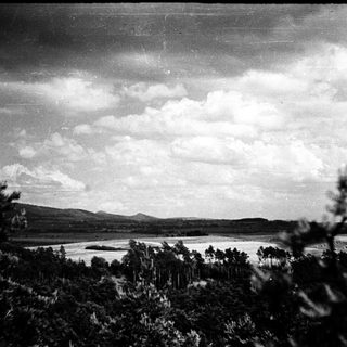 Here's a brief summary of the image: Lush landscape with trees, water, mountains, and cloudy sky.