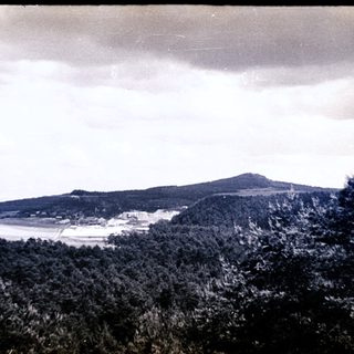 Here's a brief summary of the image: Lush forest landscape with a distant mountain and cloudy sky.