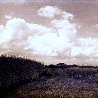 Here's a brief summary of the image: Field with tall grass under a cloudy sky.