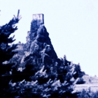 A castle sits amongst trees, captured in a monochrome image.