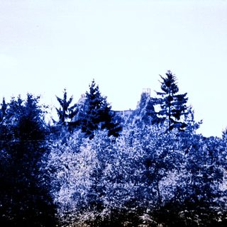 Forest and building visible against a bright sky.