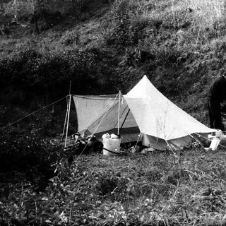 Man stands near a tent in a grassy, wooded area.