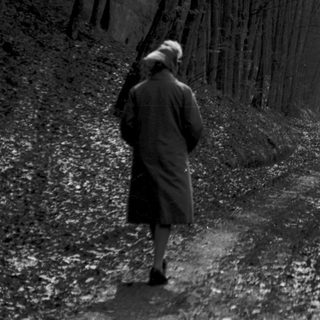 Person walks along a path through a wooded area.