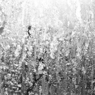 Frozen condensation patterns on a window surface.