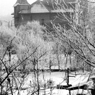 Winter scene with snow, bare trees, and buildings.