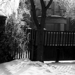Snow-covered gate and house with icy branches.