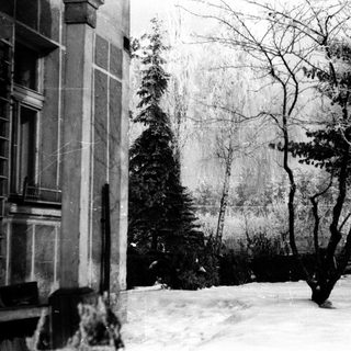 Snow-covered landscape with building, trees, and winter foliage.