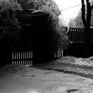 Snow-covered yard with a wooden fence and trees.