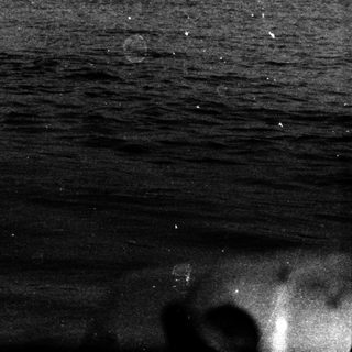 Two figures swim in a body of water.